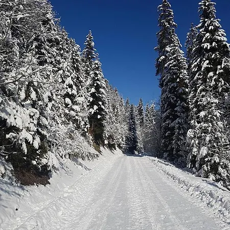 Skalny Zakatek Z Grota Solna Na Wylacznosc *