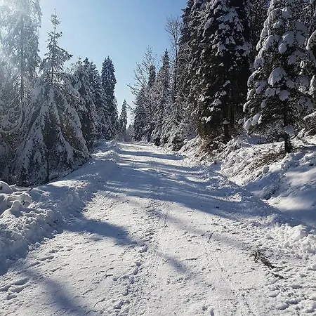 Skalny Zakatek Z Grota Solna Na Wylacznosc *